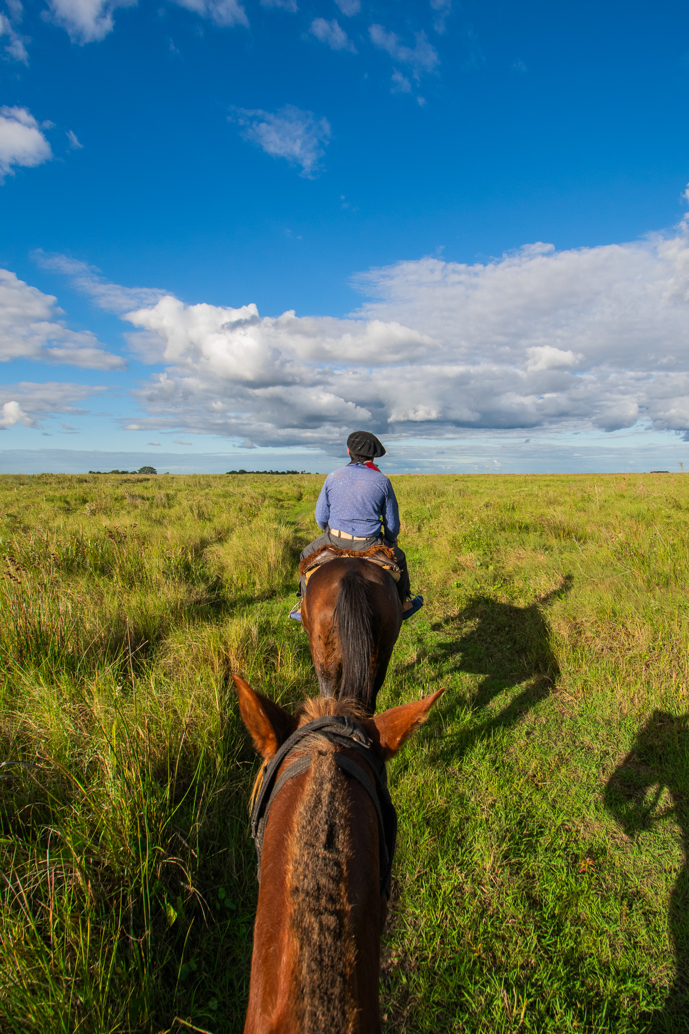 Galería ESTEROS DEL IBERÁ