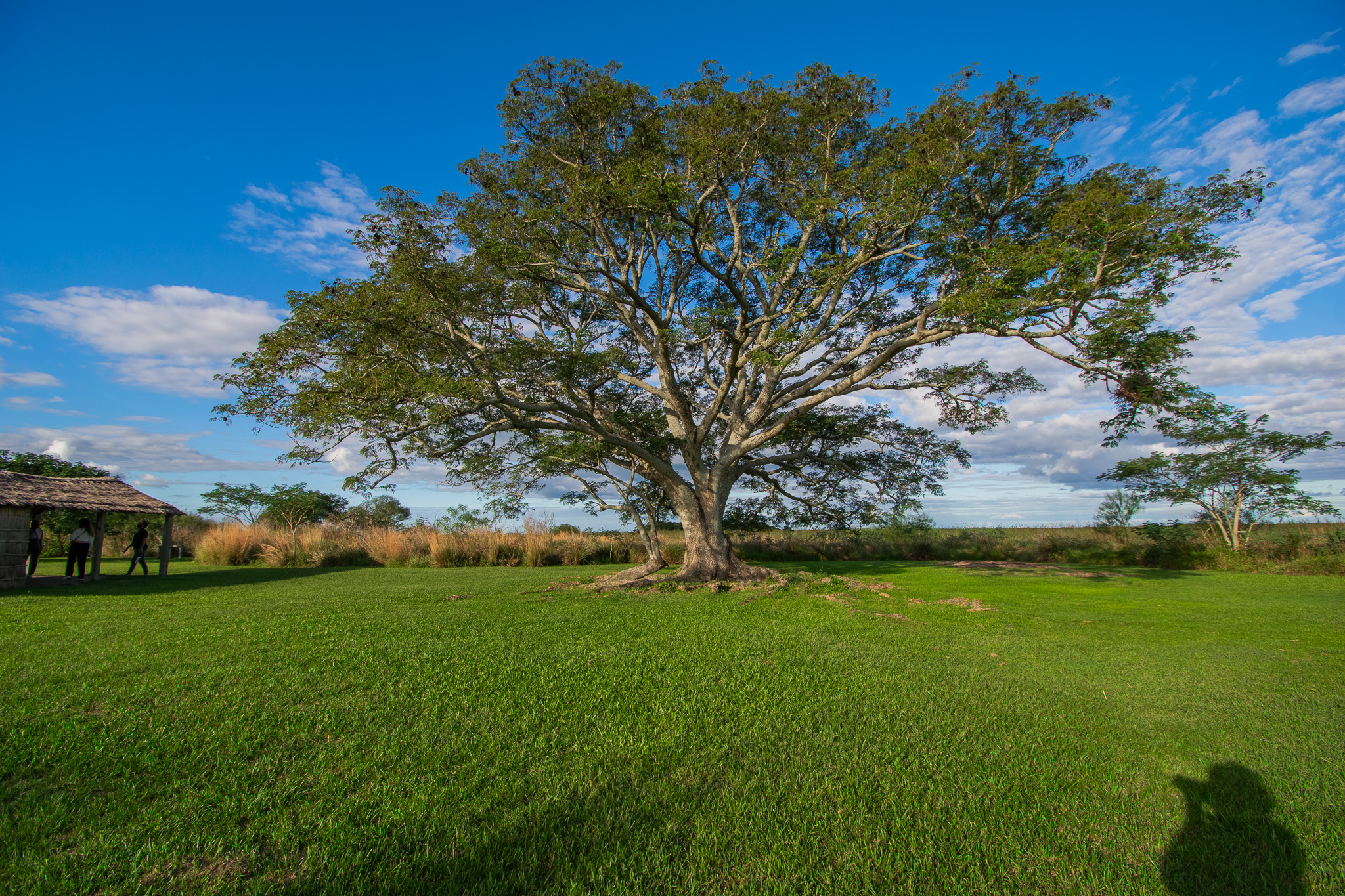 Galería ESTEROS DEL IBERÁ