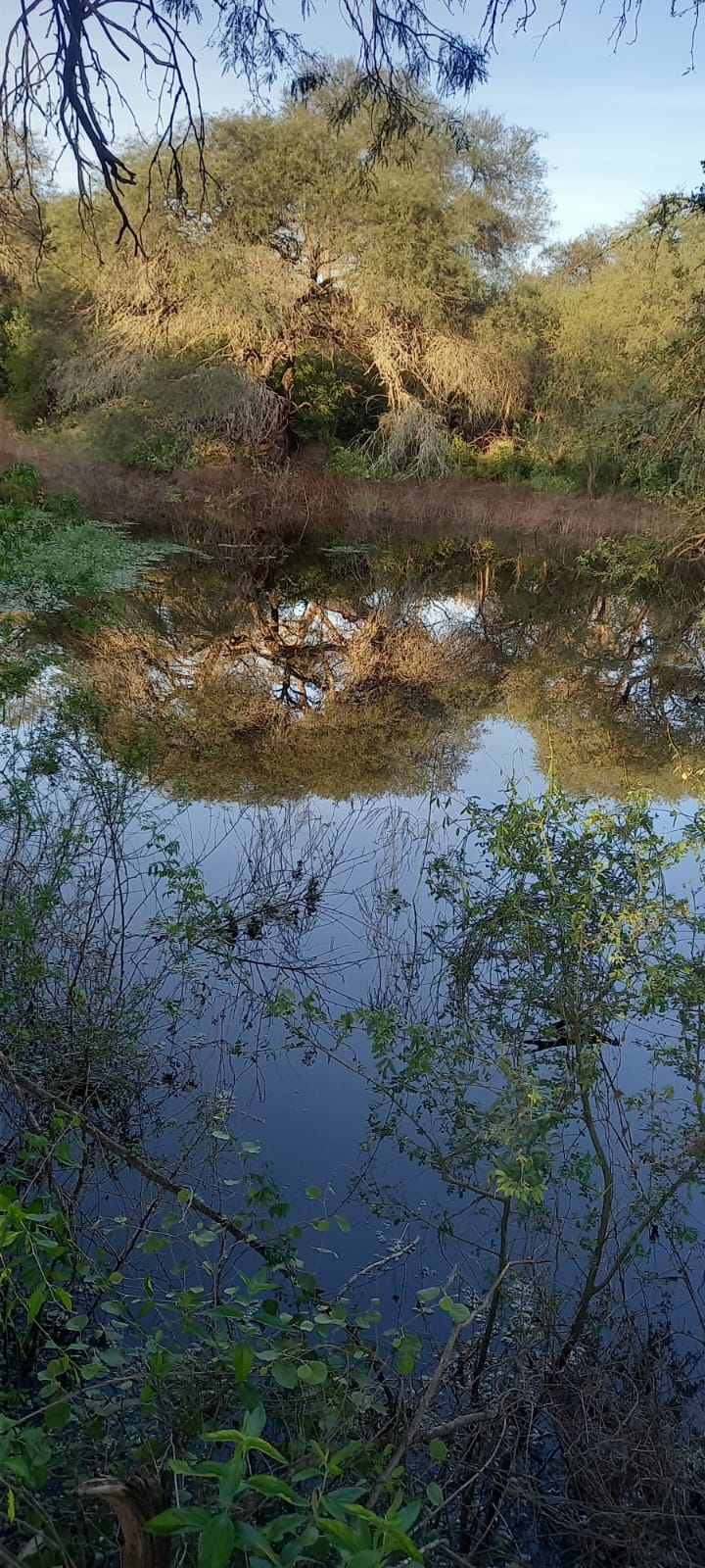 Galería IMPENETRABLE CHAQUEÑO