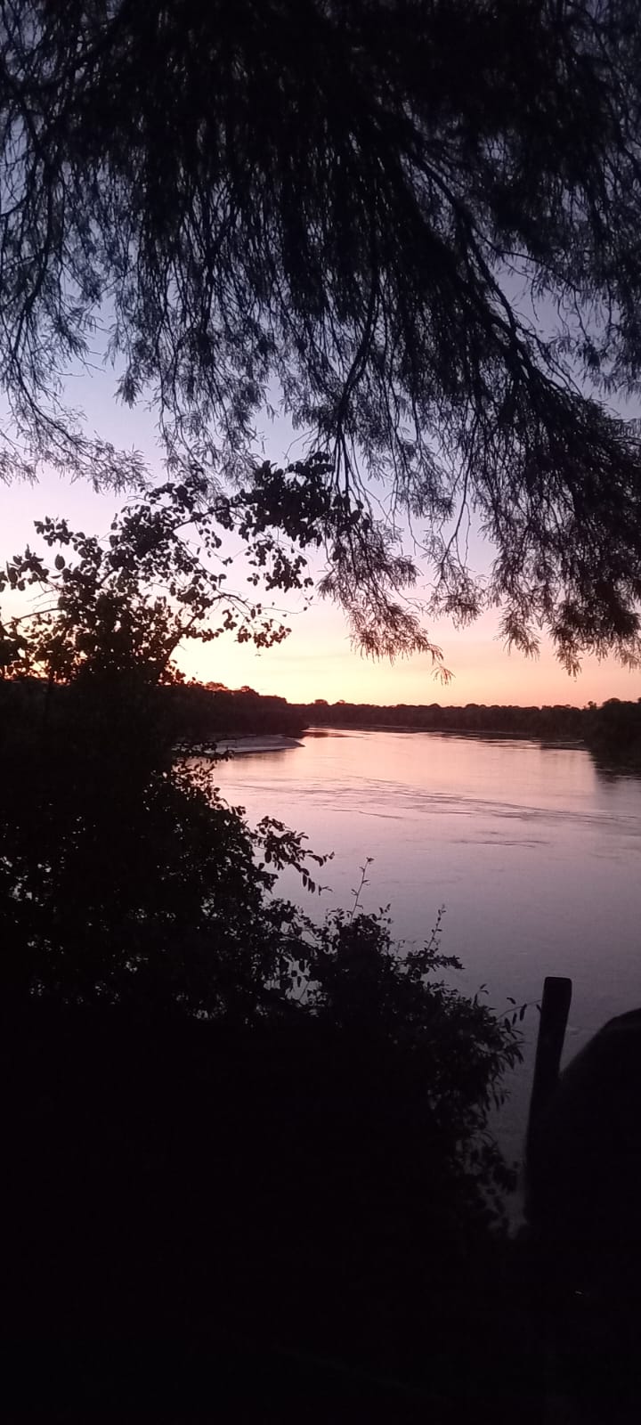 Galería IMPENETRABLE CHAQUEÑO