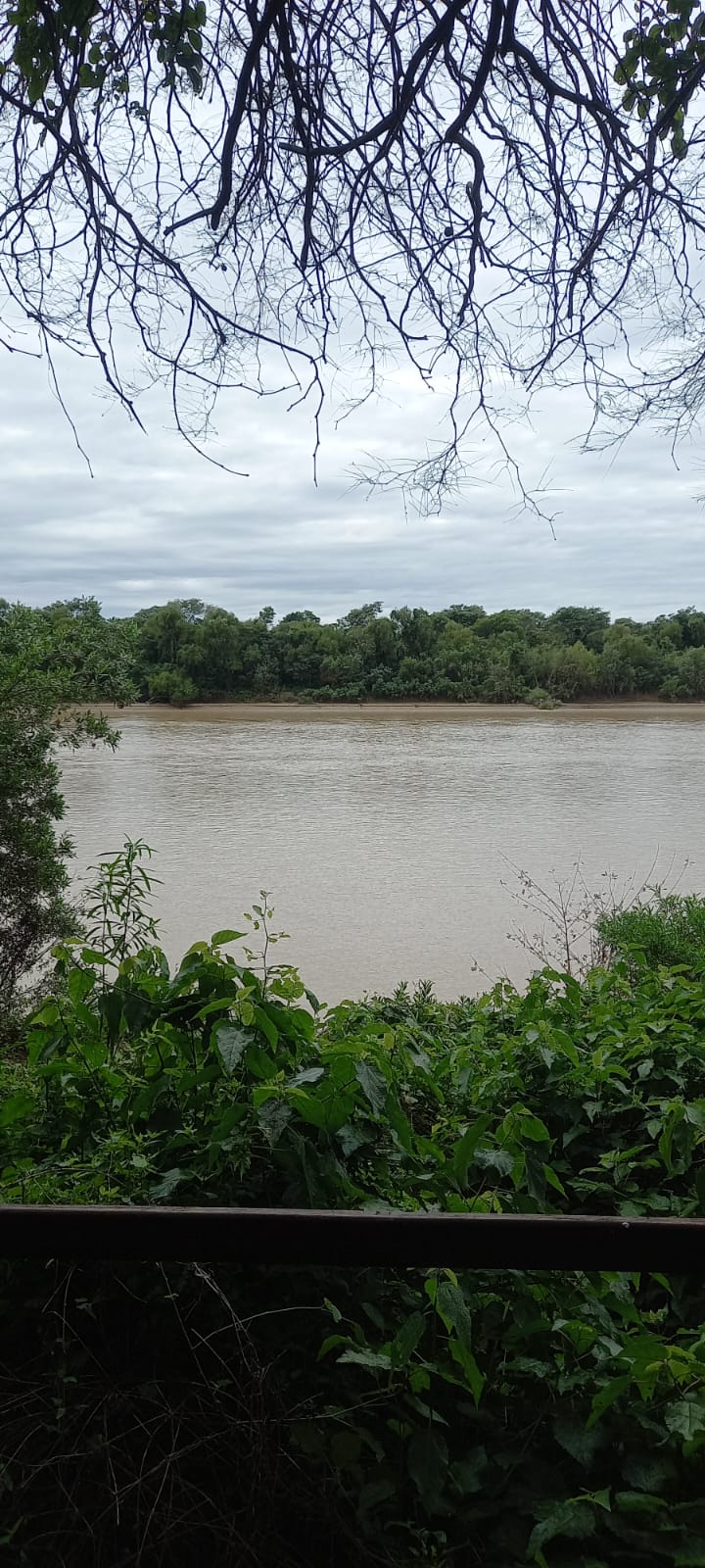 Galería IMPENETRABLE CHAQUEÑO