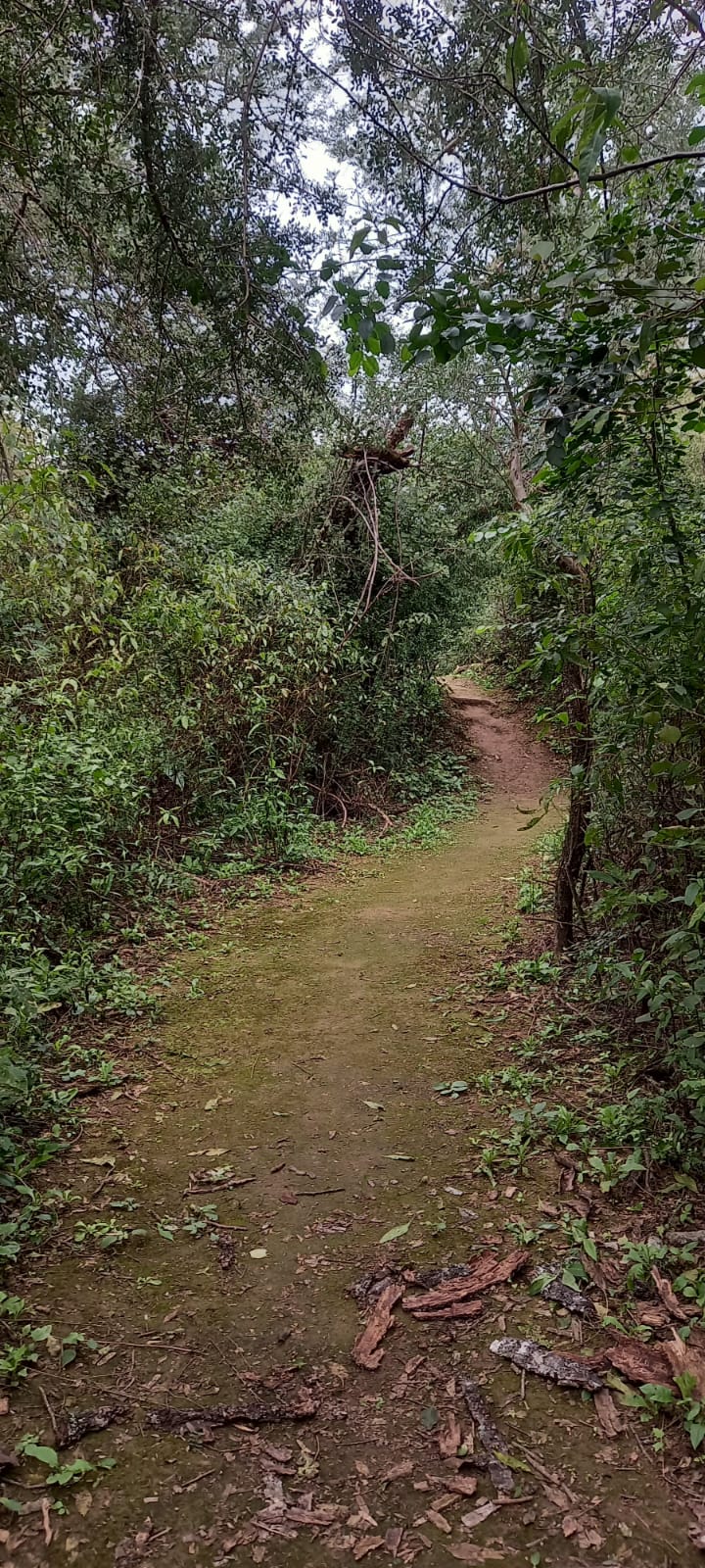 Galería IMPENETRABLE CHAQUEÑO