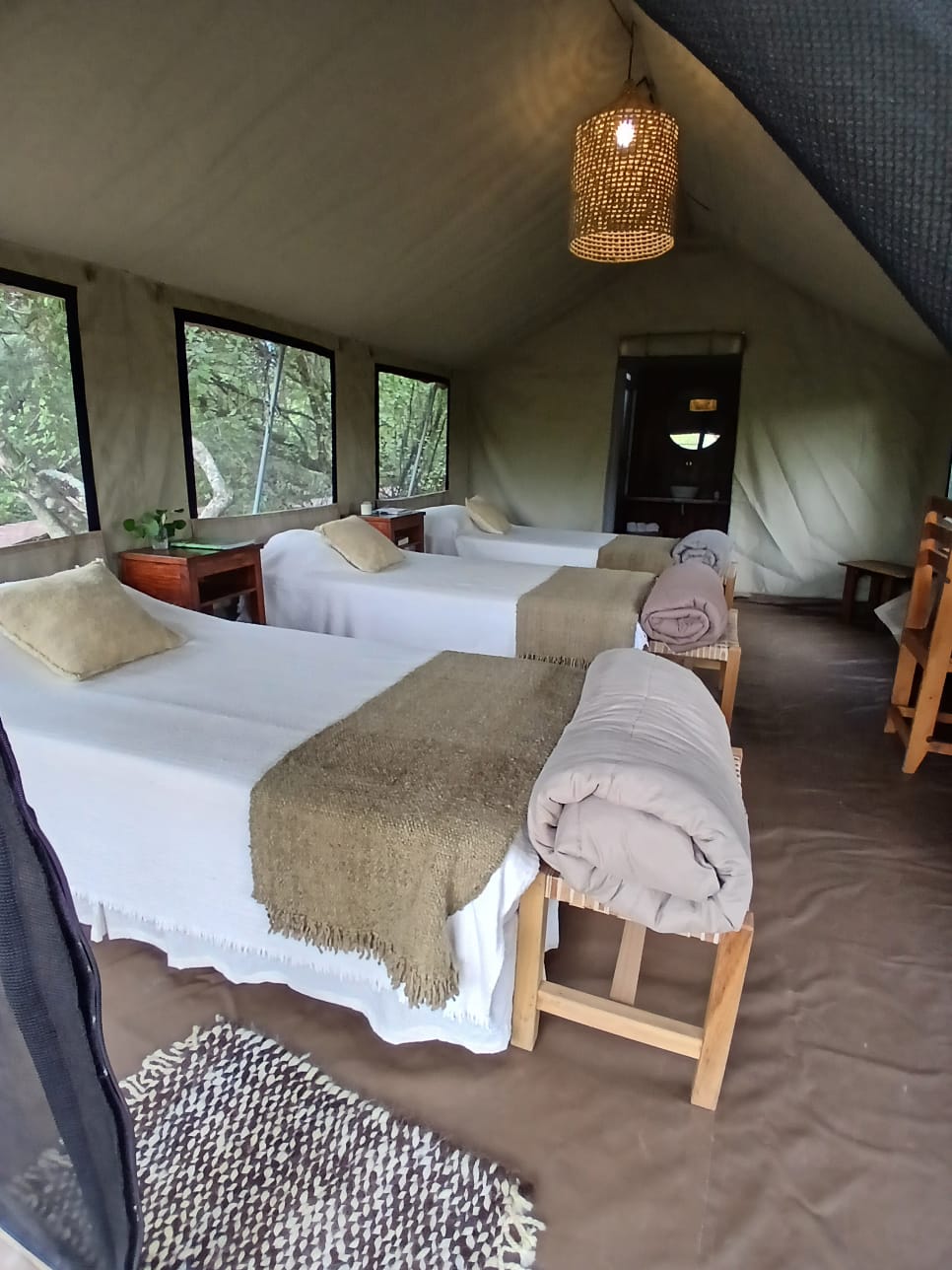 Galería IMPENETRABLE CHAQUEÑO